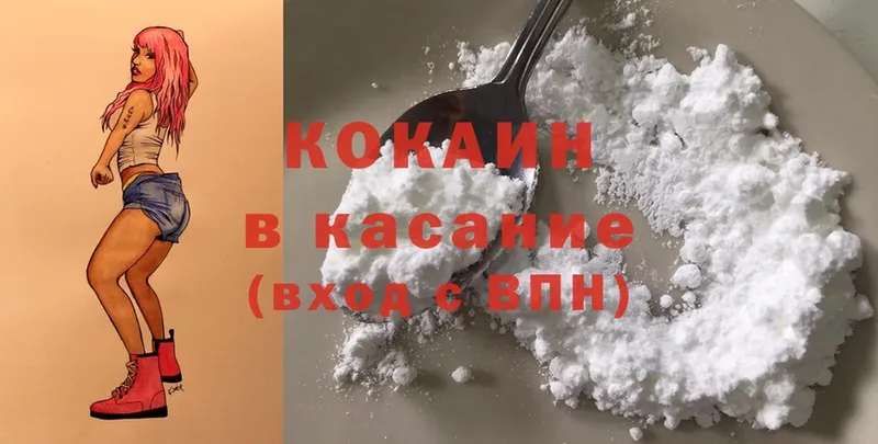 Кокаин Fish Scale  MEGA   Новошахтинск  где купить наркоту 