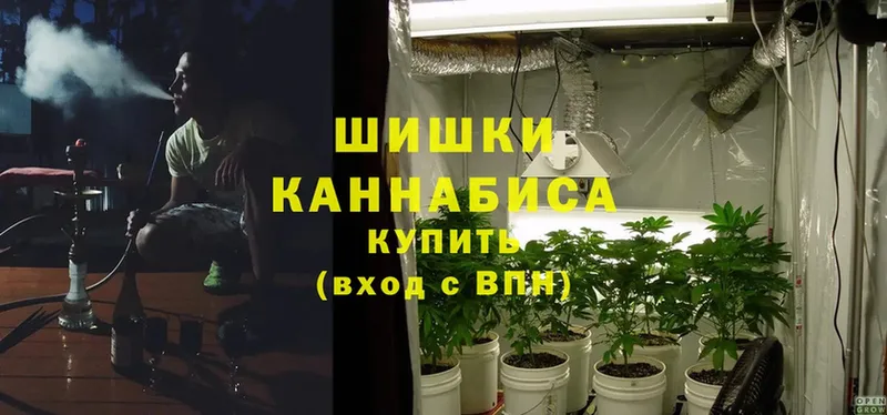 купить закладку  Новошахтинск  hydra рабочий сайт  МАРИХУАНА THC 21% 